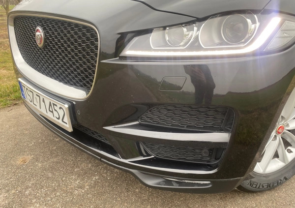 Jaguar F-Pace cena 79999 przebieg: 186000, rok produkcji 2016 z Staszów małe 704